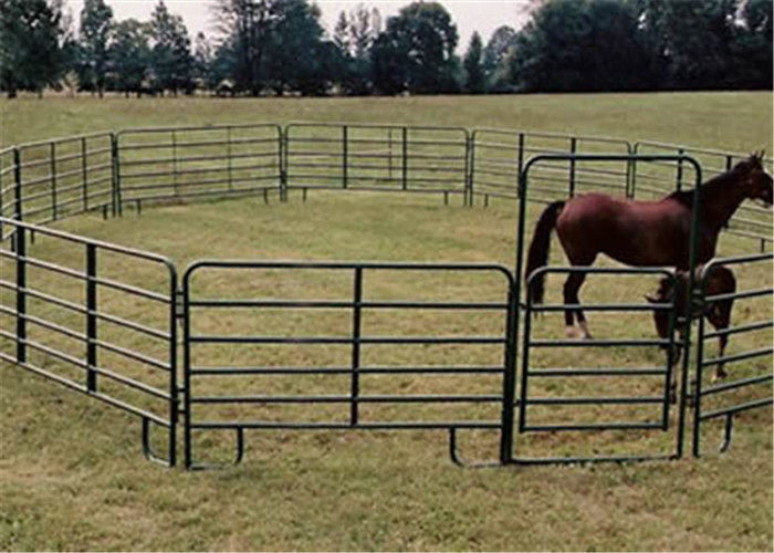 2,7 m Wysokość Przenośne Końskie Corraly, Mocna Konstrukcja Galwanizowane Panele Corral Horse